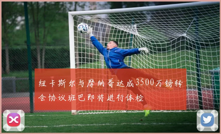 纽卡斯尔与摩纳哥达成3500万镑转会协议班巴即将进行体检